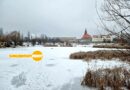 В Ужгороді Кірпічка замерзла, лебеді відлетіли