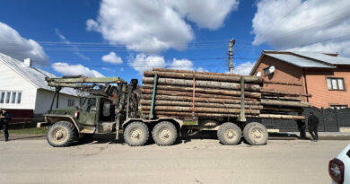 На Тячівщині поліцейські вилучили вантажівку з нелегальною деревиною