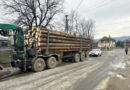 На Тячівщині поліція затримала дві вантажівки з нелегальною лісопродукцією
