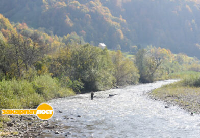 Річки України вмирають: чи можливо повернути їх до життя?